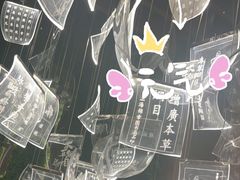 -新紫霞养生·影院足道·SPA(金山区店)