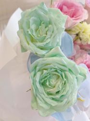 -美肤盾祛痘·问题肌头疗管理中心