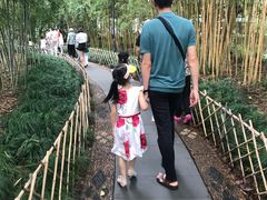-西湖游船