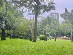 -晓港公园