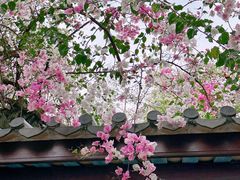 -深圳国际园林花卉博览园