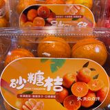 今日份的桔子快乐