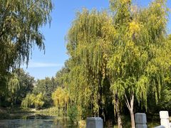 -三忘湖 SWANSEEN(柳荫公园店)