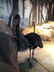 -酷嗒动物文化乐园(cutezoo西溪乐天城店)