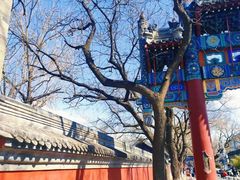 -北京国子监胡同