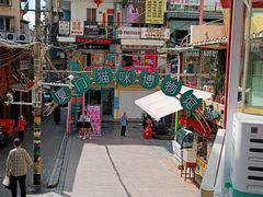 -猫咪博物馆(顶澳仔猫街店)
