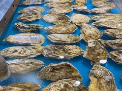 -丝路东方虾仁水饺(北京路二宫汇嘉店)