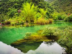 -靖西鹅泉风景区