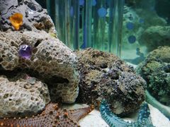 -太平洋海底世界