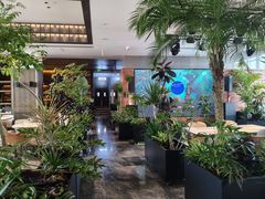 -北京东三环希尔顿逸林酒店