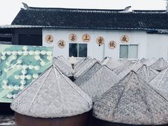 -苏州市吴中区光福窑上花果蜜饯厂