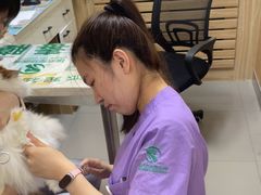 -瑞派宠物医院·24h·骨外科·皮肤科·全科宠物医疗转诊中心(沈阳浑南院)