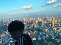 -六本木新城展望台(东京城市景观)