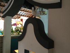 -大鸽饭(岗顶店)