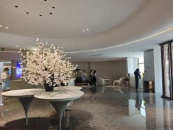 -广州美莱医疗美容医院