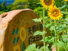 -光明小镇欢乐田园
