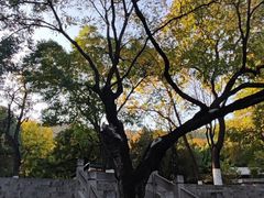 -千佛山风景名胜区