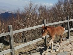 -灵山