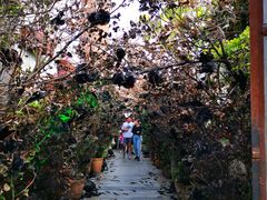 -The Grounds of Alexandria