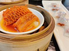 萝卜金钱肚-添运来(茶园奥园广场店)