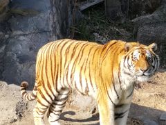 -宁波野生动物园