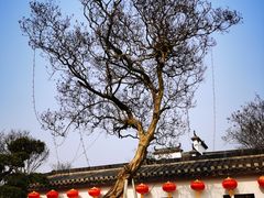 -武汉紫薇都市田园