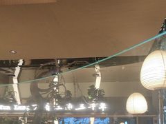 -桂满陇·海市蜃楼·黑金(国金店)