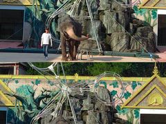 -贵州森林野生动物园