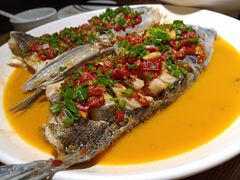 千岛湖鱼头-丰乐餐厅·始于1999·本地老字号