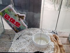 -春晖园度假酒店温泉