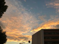 -同济大学(嘉定校区)