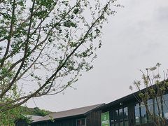 -恩阳古镇