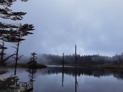 -瓦屋山景区