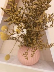 -薇兰专业脱毛连锁机构