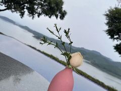 -天目湖涵田度假村