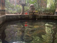 -西安国际创新人才交流中心•药浴温泉