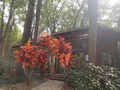-同里国家湿地公园