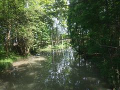 -桤木河湿地公园