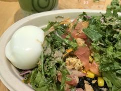 -油梨树AVOCADO TREE(望京店)