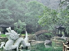 -午潮山国家森林公园