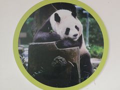 -宁波野生动物园