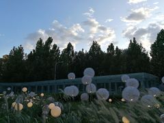 -汉堡王(北京三里屯购物中心)