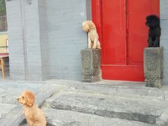-簋街