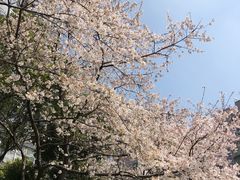 -玛格萝妮比萨屋(四平店)