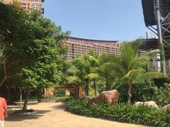 -亚马逊丛林水乐园