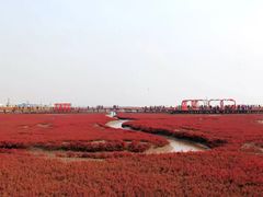 -红海滩国家风景廊道