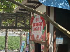 -丹樱生态园