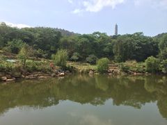-巢湖姥山岛