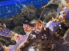 -震海贝烤贝·民俗特色店(延吉总店)