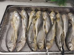 -春风松月楼(七宝万科店)